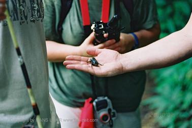 13 Thailand 2002 F1020033 Khao Lak Ausflug Khao Sok_478